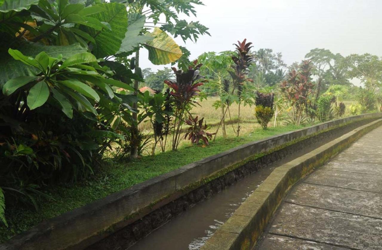Candra Asri Bungalow أوبود المظهر الخارجي الصورة