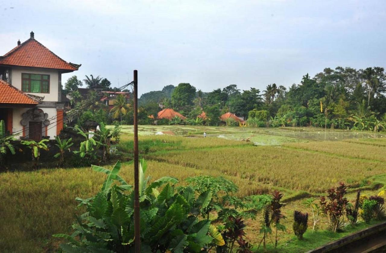 Candra Asri Bungalow أوبود المظهر الخارجي الصورة